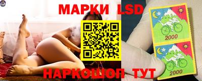 амф Обнинск