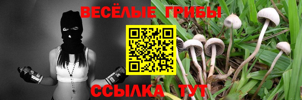 Псилоцибиновые грибы мицелий Сланцы