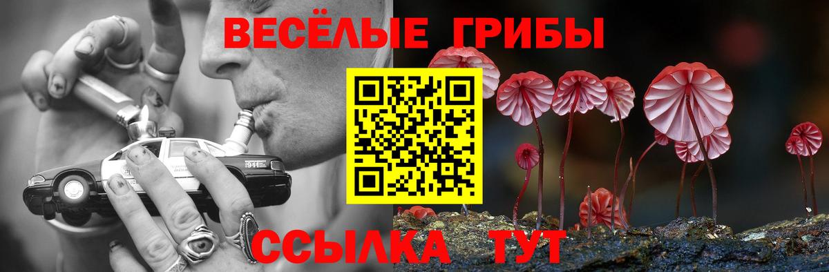 Псилоцибиновые грибы мухоморы  как найти закладки  Сланцы  Вход с VPN 